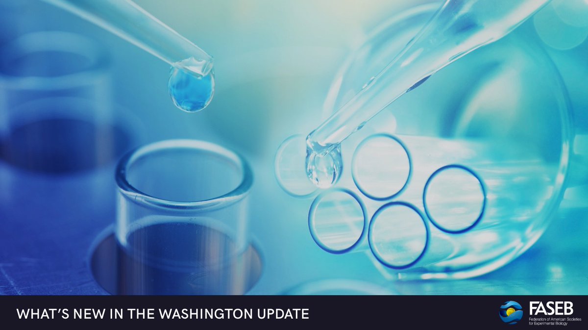 FASEBorg's tweet image. Unlock essential insights from FASEB’s recent webinar series on supporting the STEM workforce. Discover innovative strategies and actionable takeaways to strengthen support for early-career scientists! Read more in the Washington Update: hubs.ly/Q03xp8Hs0