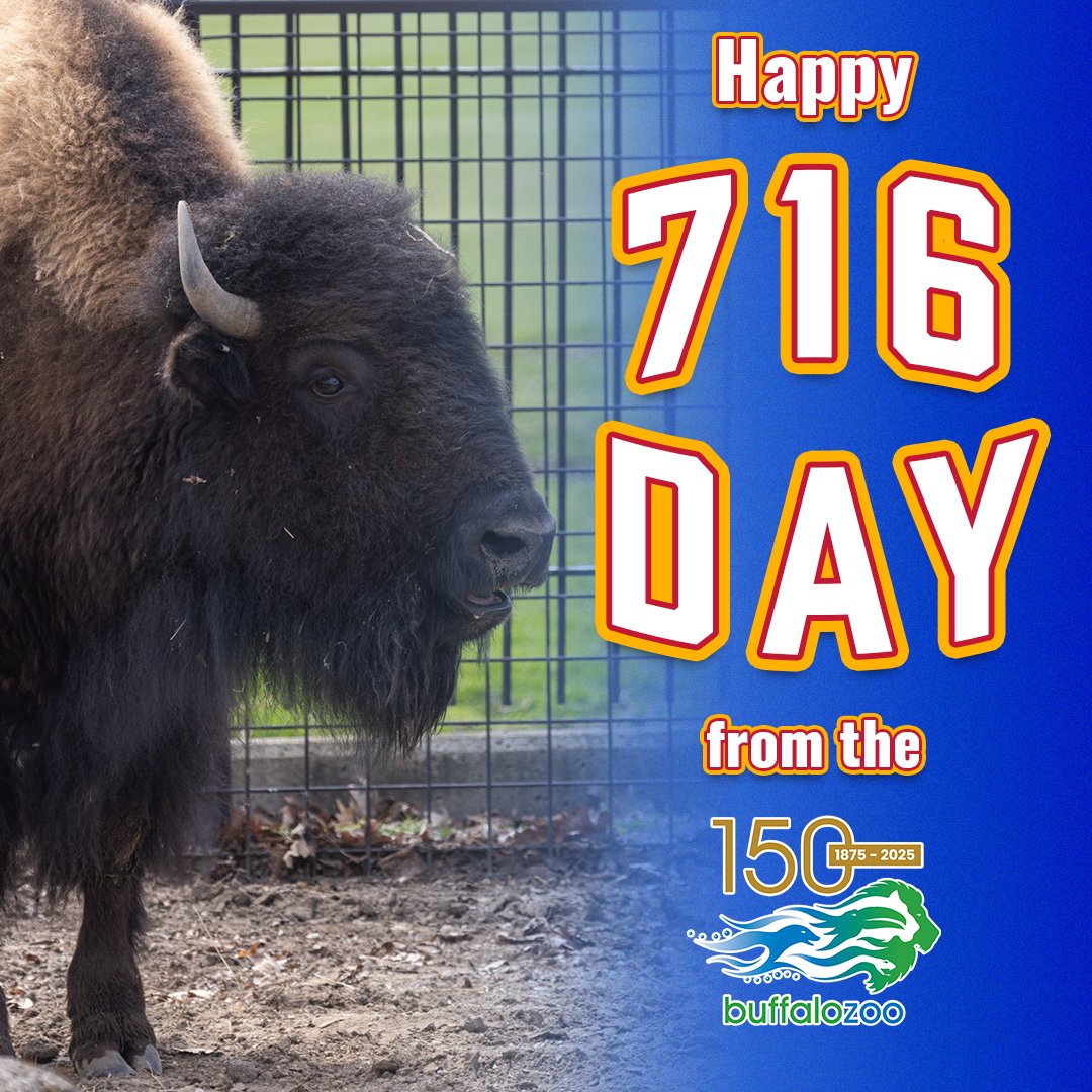buffalozoo's tweet image. Happy 716 Day, Buffalo! 🦬

We&apos;re excited to celebrate the place we call home with discounted admission of $7.16 all day! We will be open normal hours, 10 a.m. to 4 p.m. for ticket gates with grounds closing at 5 p.m.