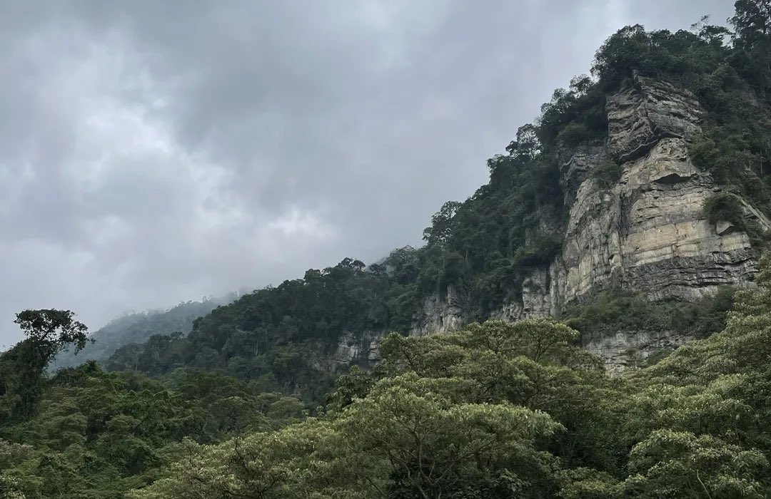 #Soacha es mi orgullo, el corazón de Cundinamarca donde la historia, la naturaleza y la modernidad se encuentran. Con el majestuoso Parque Natural Chicaque, una tradición cultural vibrante y una producción agrícola que alimenta a toda la región. #DíaDeCundinamarca #16DeJulio
