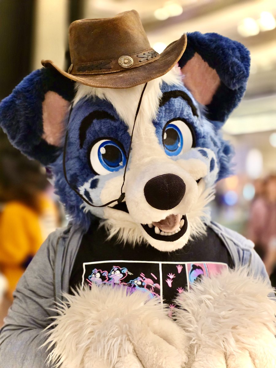 Okay INSANE question here:

are any of my friends going to Eurofurence and have extra space in their room for a dog? I may or may not be attempting to go there for an exciting reason 👀