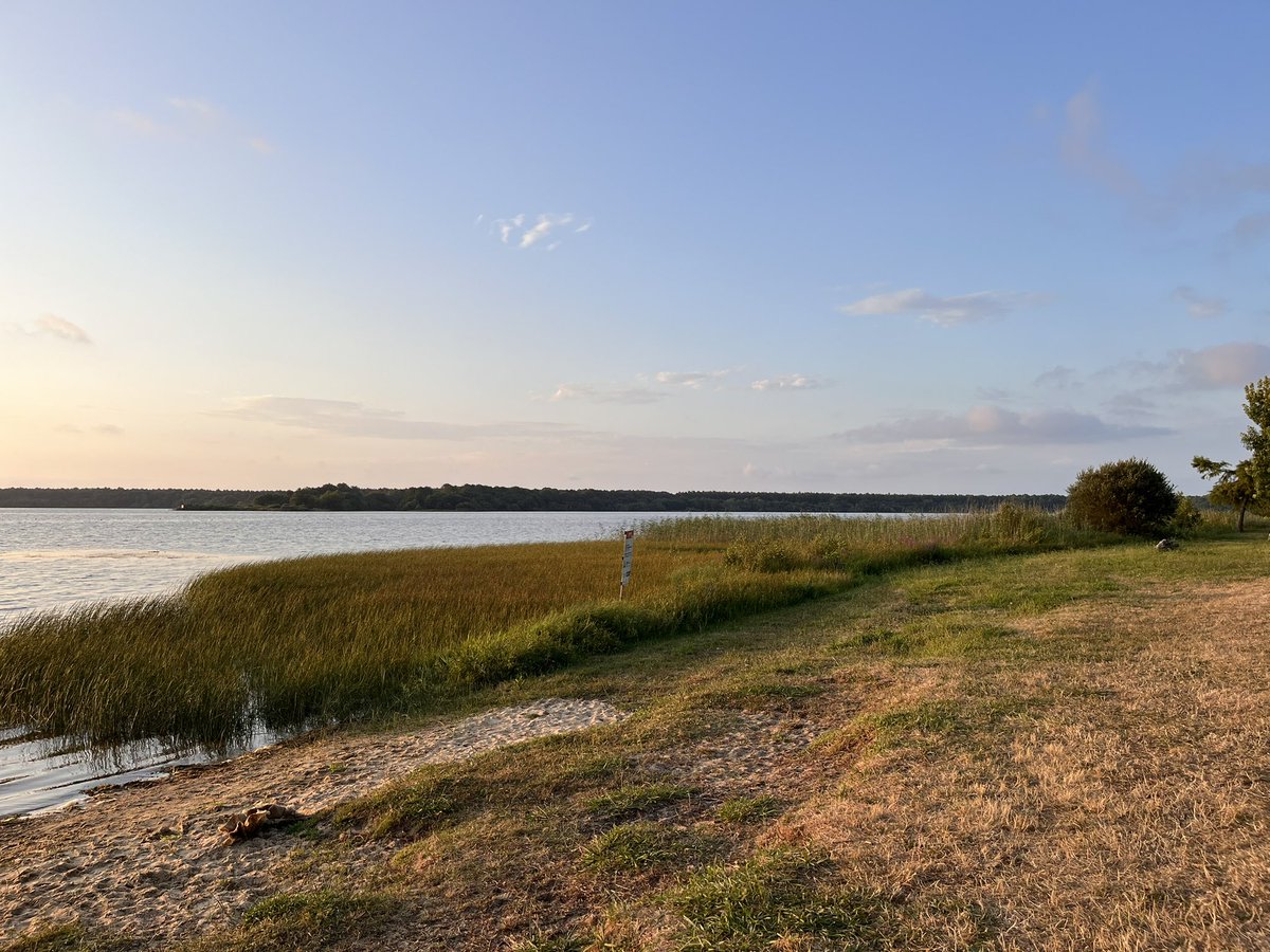 GenerativePunk's tweet image. À Little break by the lake. 🌿
