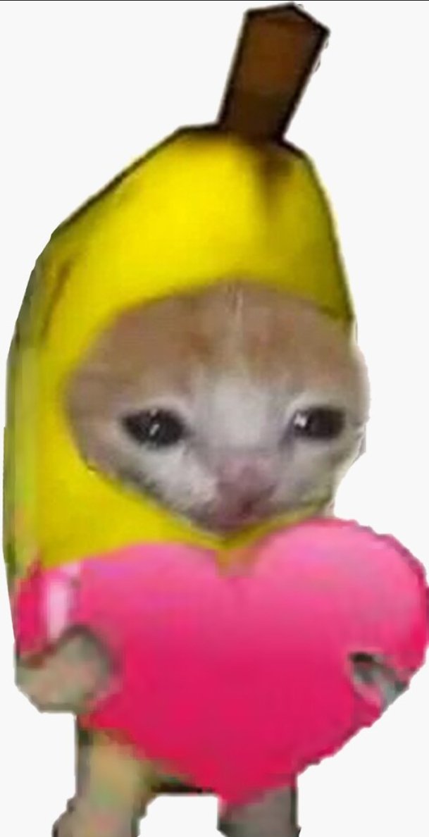 Xalianas tweet media