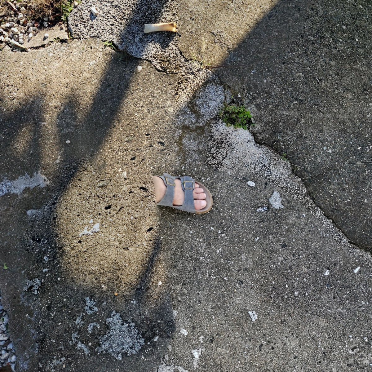 StreetviewFeet's tweet image. 👣StreetViewFeet #8👣
3/5 available | 3 XTZ
objkt.com/tokens/KT1DD44…