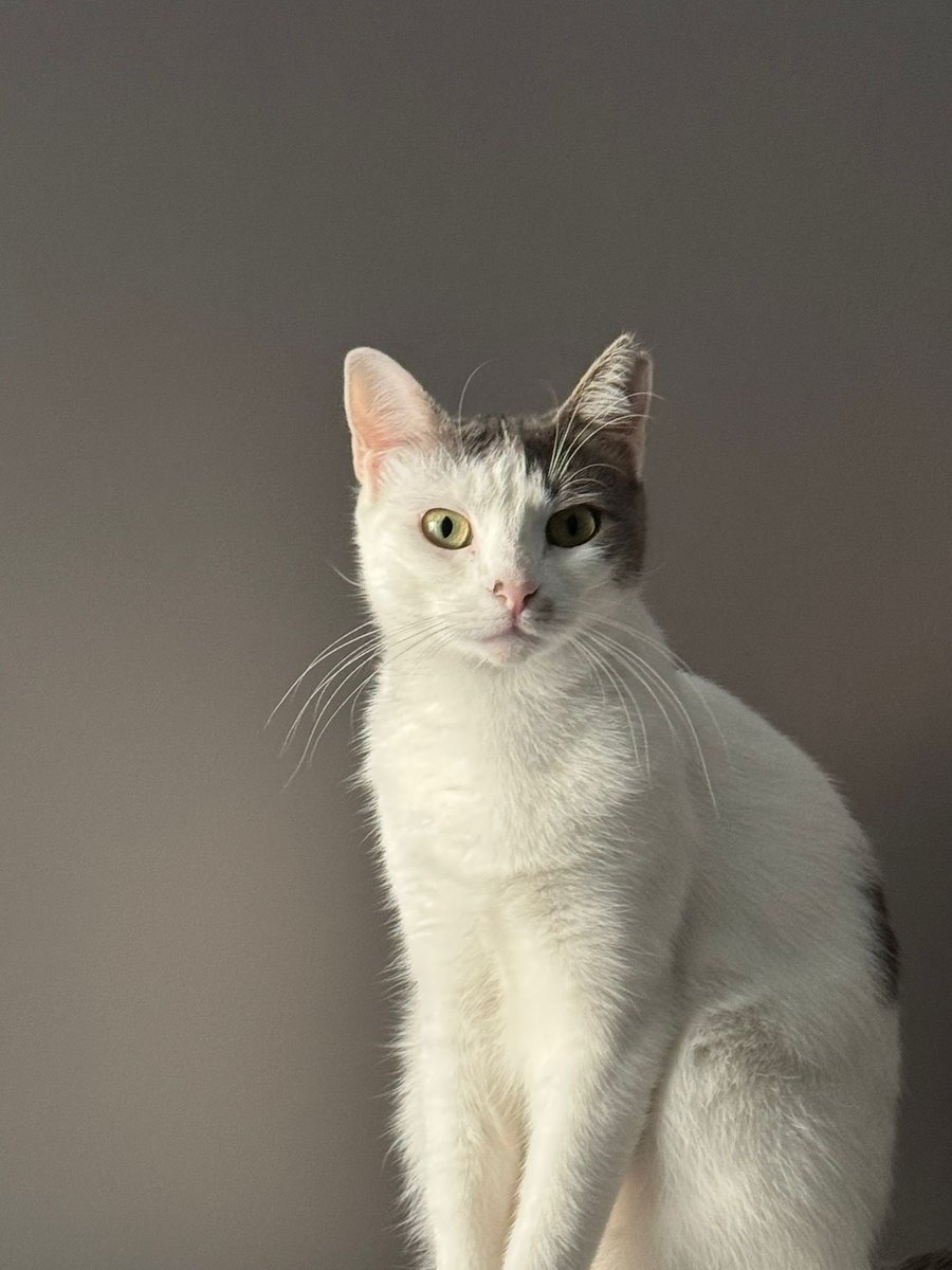 <a href="/bosunatiklama/">Boşuna Tıklama</a> Benim miniğimi de bulur musunuz lütfen 🥹 Aramadığım yer kalmadı. Birinin aldığını düşünüyoruz. Yardım edin lütfen 🥹