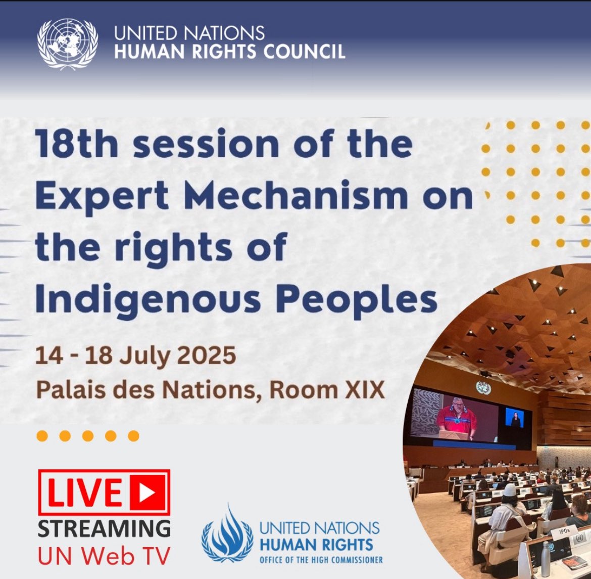El Estado Plurinacional de Bolivia participa de la 18.ª sesión del Mecanismo de Expertos sobre los Derechos de los Pueblos Indígenas #EMRIP, que se lleva adelante del 14 al 18 de julio en Ginebra. 
Se revisarán varios temas como el derecho de los #PueblosIndígenas a los datos,