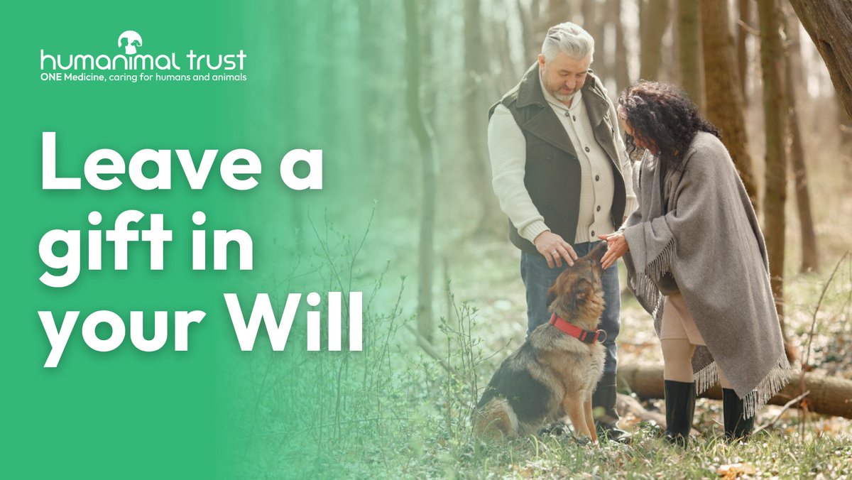 HumanimalTrust's tweet image. Thanks to gifts in Wills, we launched our £250,000 Cancer Discovery Fund last year, which will support collaborative research that improves the quality of life for humans and animals with cancer.
Leave your legacy of hope for humans and animals: humanimaltrust.org.uk/leave-a-gift-i…