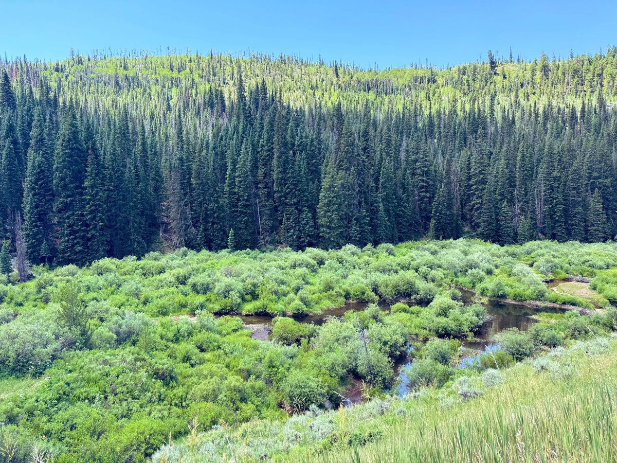 3일간 훈제돼서 사우나로 땀빼도 훈제향이