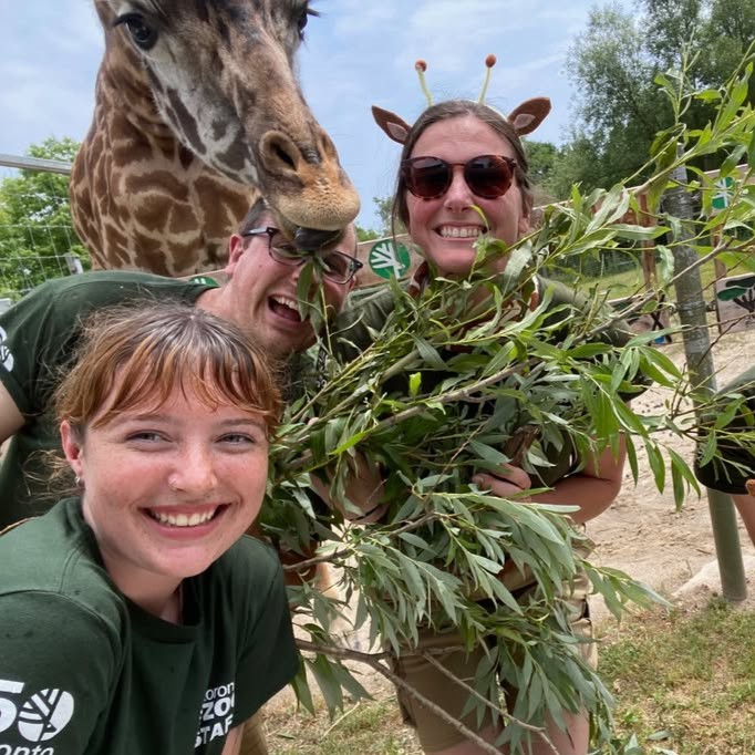 TheTorontoZoo's tweet image. Ever wonder what it's like to be a Toronto Zoo Keeper? 👀
We’re happy to announce that our Keeper-For-A-Day program is back and welcoming participants! 📋
Discover more at torontozoo.com/keeperforaday