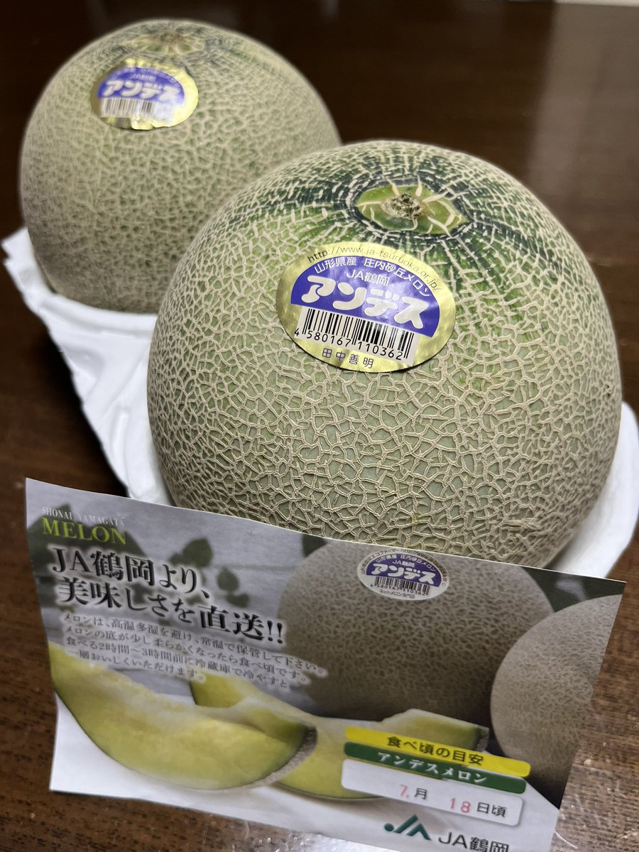 お借りしたCimbassoの返却に本間さん宅にお伺いしたら、なんとJA鶴岡のアンデスメロンをいただきました🍈💕
ありがとうございます！🙇‍♂️