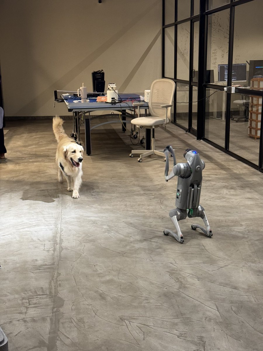 sowmay_jain's tweet image. biology vs mechanics!

we are entering a scary yet exciting era.

not sure if we are biologically tuned up for what’s coming.

insane experiments underway at @heliumrobotics