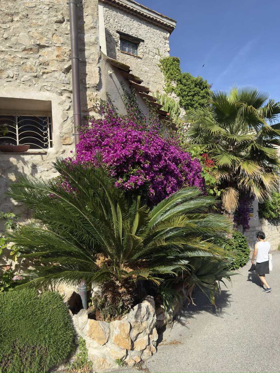 jmlpyt's tweet photo. Antibes sur al Côte d’Azur
#regionsud #alpesmaritimes #jmlpyt #gettyimagescontributor #shootuploadrepeat #Cotedazurfrance https://t.co/pvUiZ0RVw9