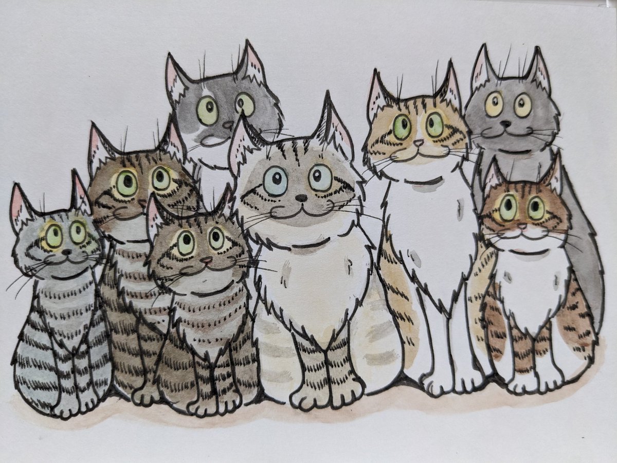paseri021's tweet image. That&apos; s a nice Welcome. 🐈‍⬛🐈
 #pasericat