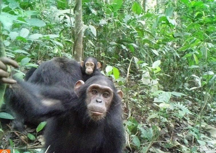 ALLIANCE GSAC tweet media