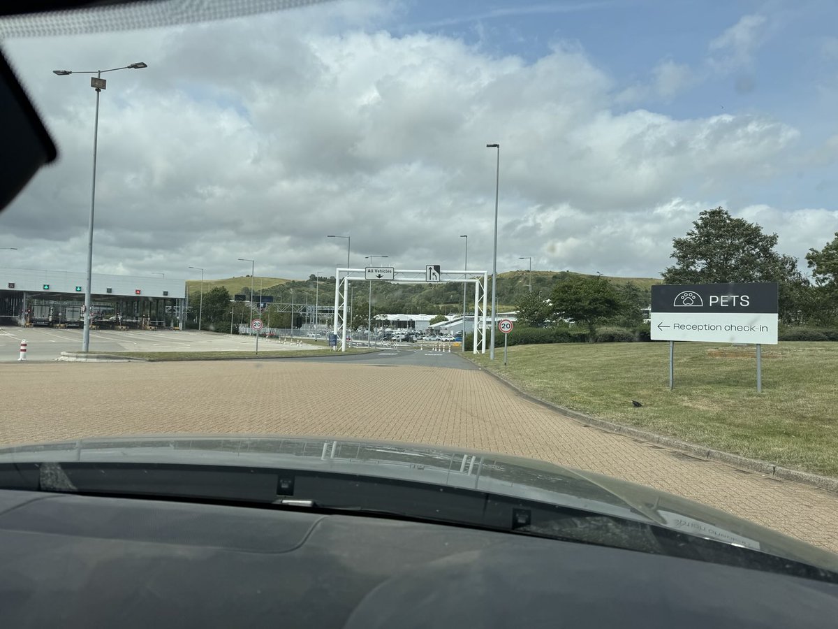 The pea 🫛 season that just keeps on giving 🤦‍♂️ 🫛🫛🫛🫛