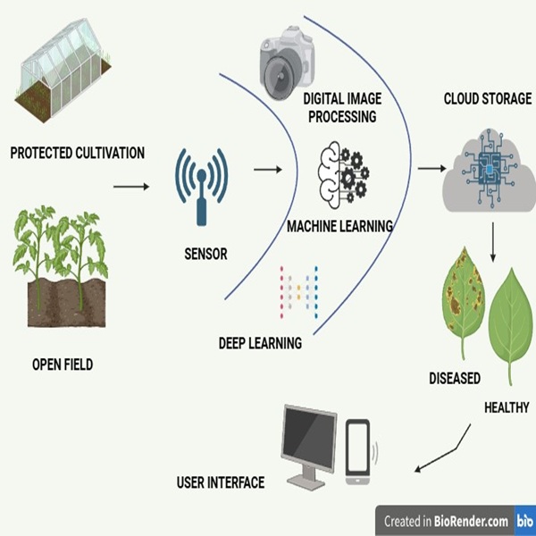 Empowering early detection of plant diseases in agriculture using artificial intelligence - doi.org/10.14719/pst.8…
