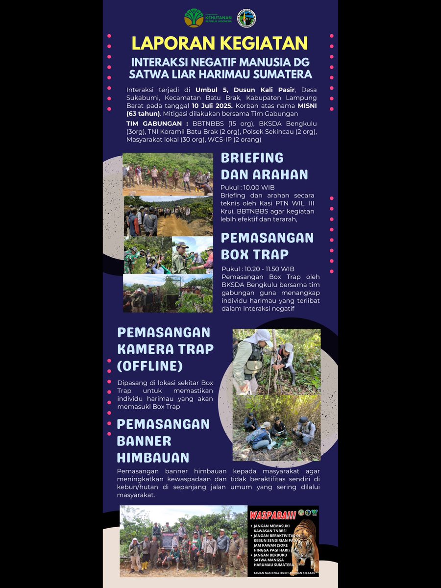 BBTNBBS's tweet photo. Sebagai upaya pemulihan pasca interaksi negatif antara manusia dan harimau sumatera, tim BBTNBBS, BKSDA dan pihak terkait melakukan pemasangan kamera trap dan kandang jebak sebagai bagian dari program mitigasi interaksi negatif manusia-satwa liar di Pekon Sukabumi, Kec. Batu Brak https://t.co/lLT4dttokt