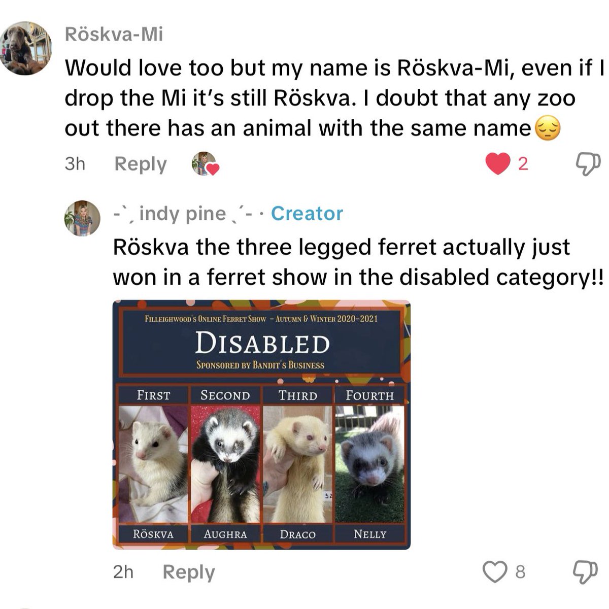 got extremely locked in to finding people’s animal name twins last night