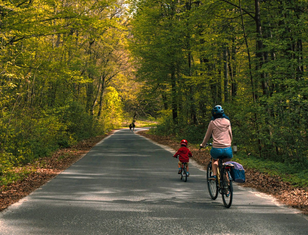 Being physically active can improve your mood and save money in health care costs.

Need more #MondayMotivation? 

Here are some other benefits to physical activity: tinyurl.com/5n6svjwt