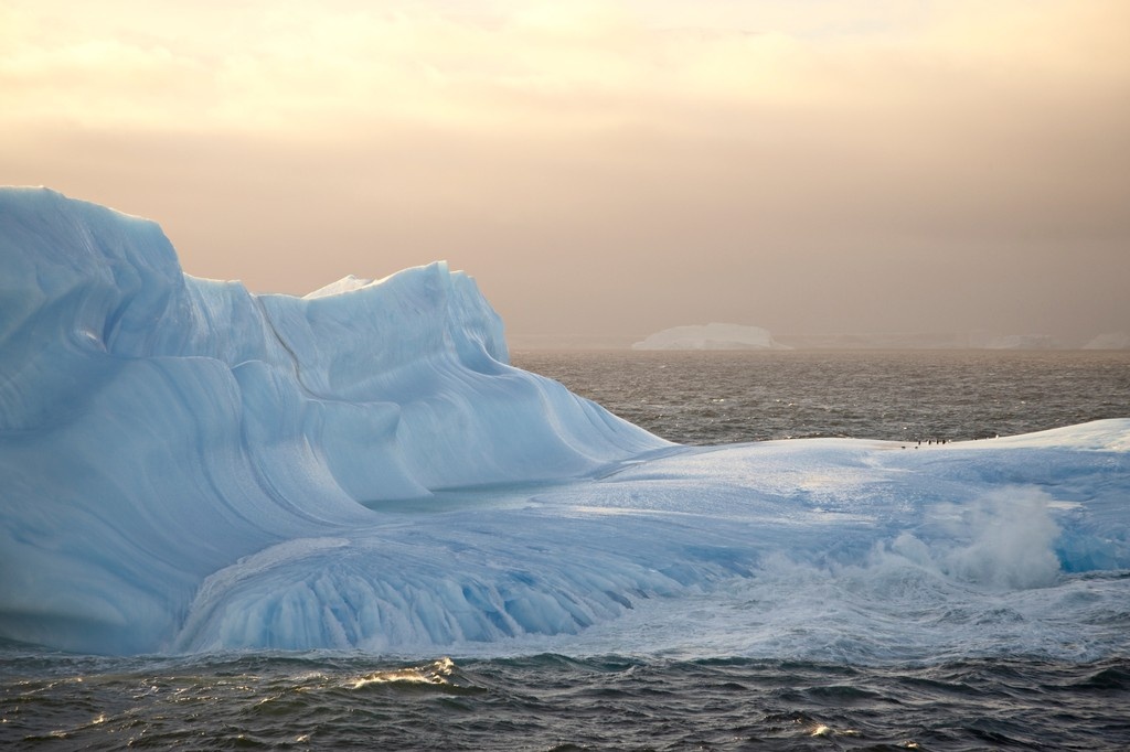 AntarcticaSouth's tweet image. We’re kicking off our virtual tour of Southern Ocean MPAs! Starting at the South Orkney Islands Southern Shelf Marine Protected Area, where icy currents fuel rich life, from krill and penguins to deep-sea corals. Discover this remote, vital ocean wilderness with us! 🌊🐧🦐