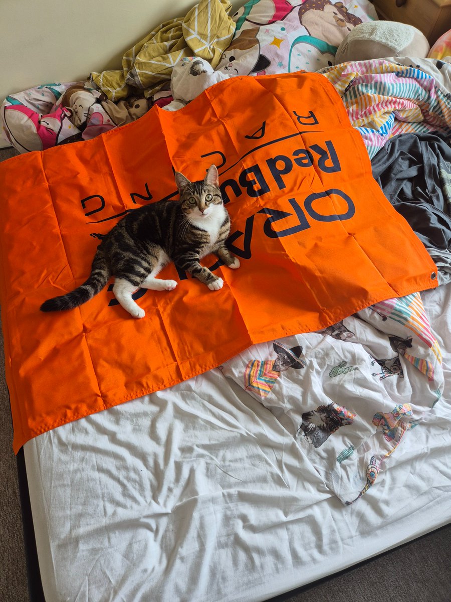 MaybeMagpie's tweet photo. Don't get your ypung children a pet for a birthday present.
Unless its their first birthday. And they're your cat.
In which case, they deserve a kitten :)
Happy birthday Spezi, you will be getting a kitten soon :) https://t.co/aLnexI359S