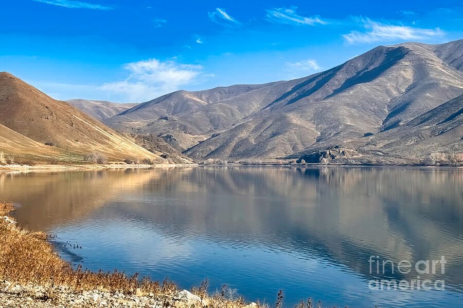 shelia_hunt's tweet photo. Glide into calm โ Weiser River's bend is pure painted peace.
https://t.co/uh7W8b81Zr
#WeiserRiver #OregonLandscapes #FarewellBend #SheliaHuntPhotography #BuyIntoArt #RiverEscape https://t.co/iwYDQZgbgG