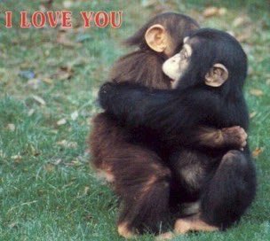 료윳느낌이네
서로야랄의끝을달리지만사랑하고있는거알아