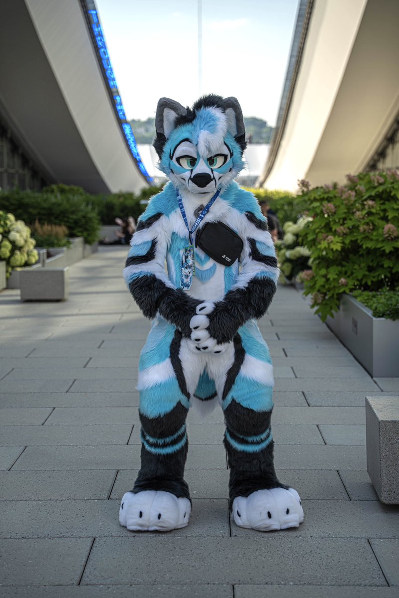 CybrFur's tweet image. Goodness Gracious ✨

🧵 @sheenitude