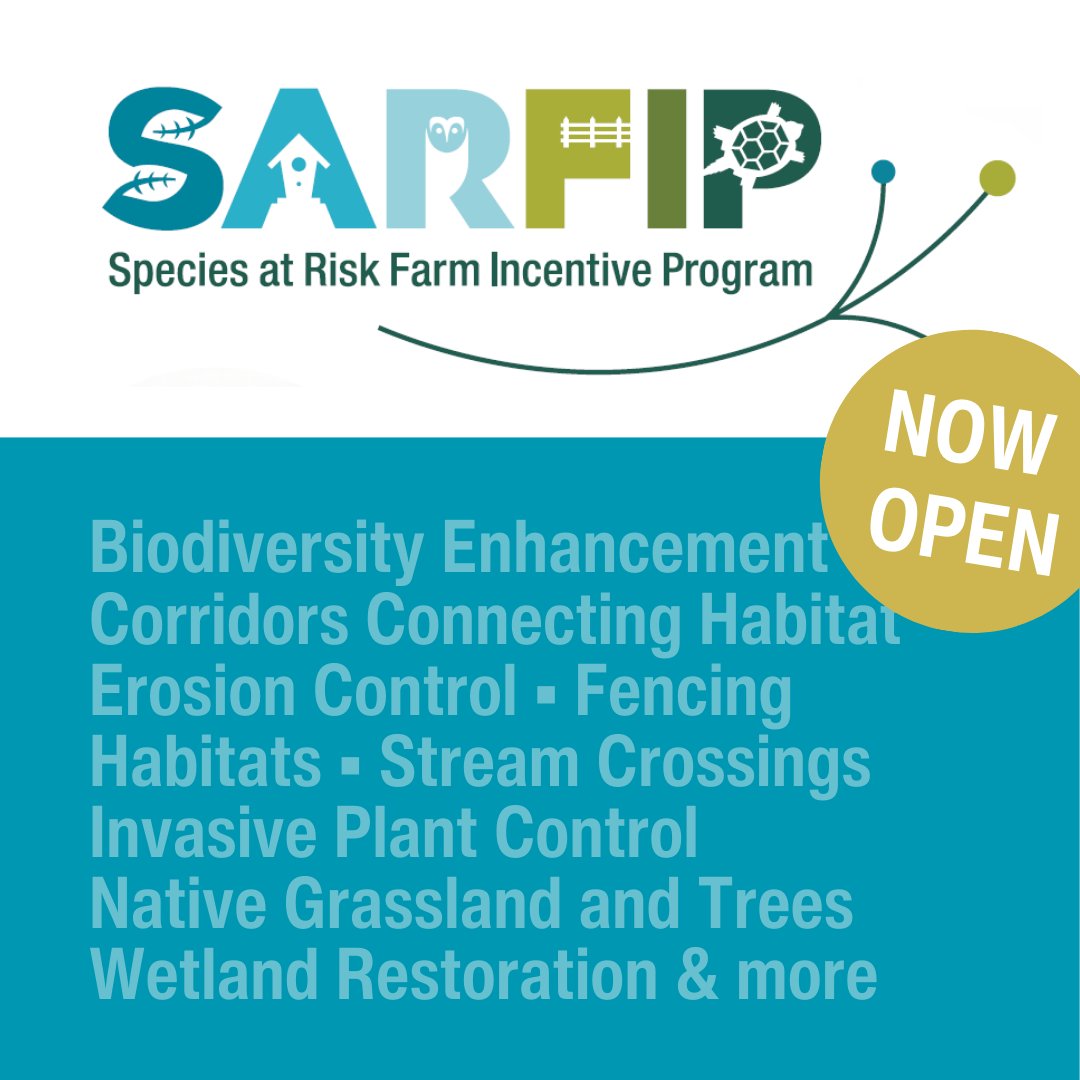 Heads up, habitat champions! The #SARFIP intake is now OPEN—but not for long. Intake closes when funding runs out... Invasive plant control? Wetland restoration? Habitat structures or enhancements? This program is for you: rebrand.ly/p6wtxi4

#OntAg #OntarioSoilCrop