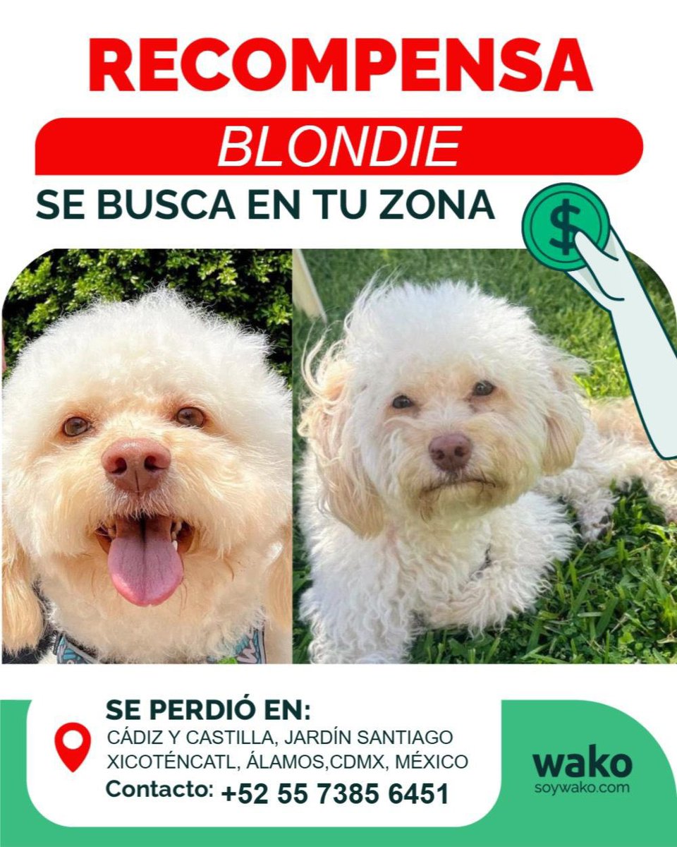 <a href="/Delvalle_Quejas/">Del Valle Reportes</a>  <a href="/NarvarteVecinos/">🌸 Del Valle/Narvarte Unidos 🌸</a>  <a href="/En_laDelValle/">En la Del Valle</a>  <a href="/PrrosPerdidosMX/">PerrosPerdidosMx</a>  <a href="/MascotaCoyoacan/">Mascotas Coyoacán 🐾</a>  <a href="/MascotasSismo/">Mascotas Sismo</a>