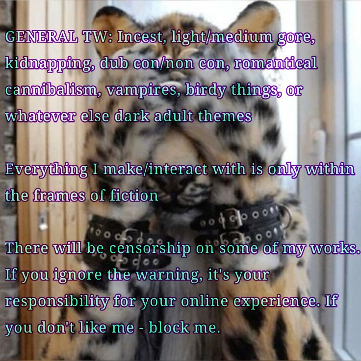 Canarotrigine87 tweet media