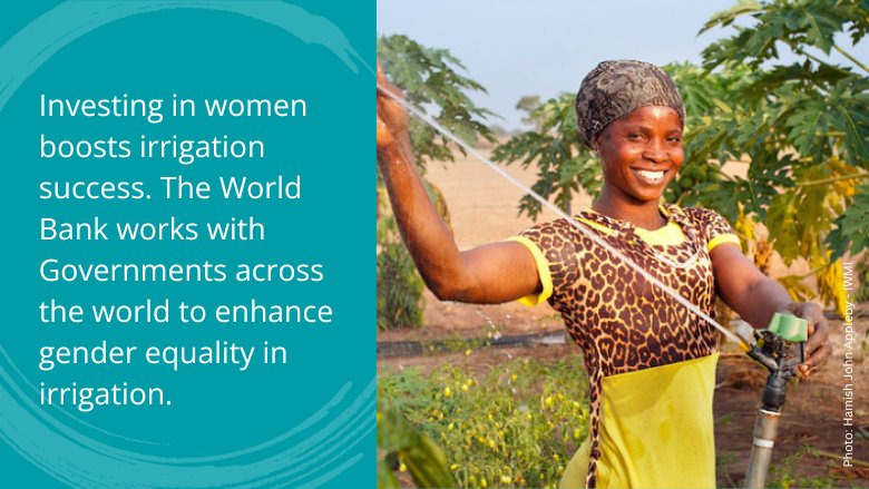 #DYK that we could reduce the number of food insecure people by 45 million?

Find out why investing in women is a game-changer in climate-resilient #irrigation

👉🏾 wrld.bg/z6bL50UqjZG