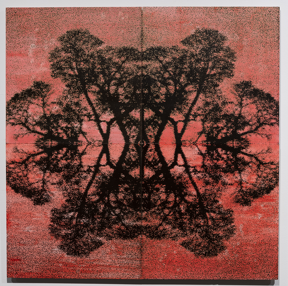 CLOSES JULY 18, 2025

Knowing Trees – Selections from Nickle Galleries’ Collections

Image: William Laing, Lightfall #17, 2013. Collection of Nickle Galleries