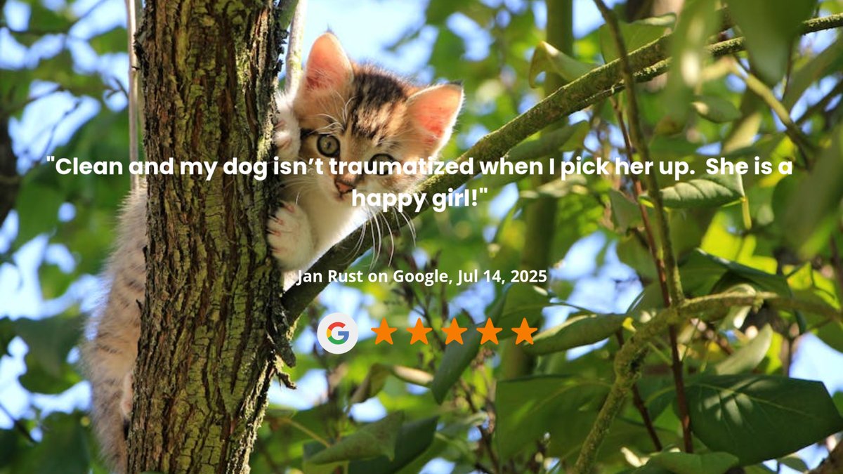 idlewirepetcare's tweet photo. https://t.co/haYhtQZ7HP