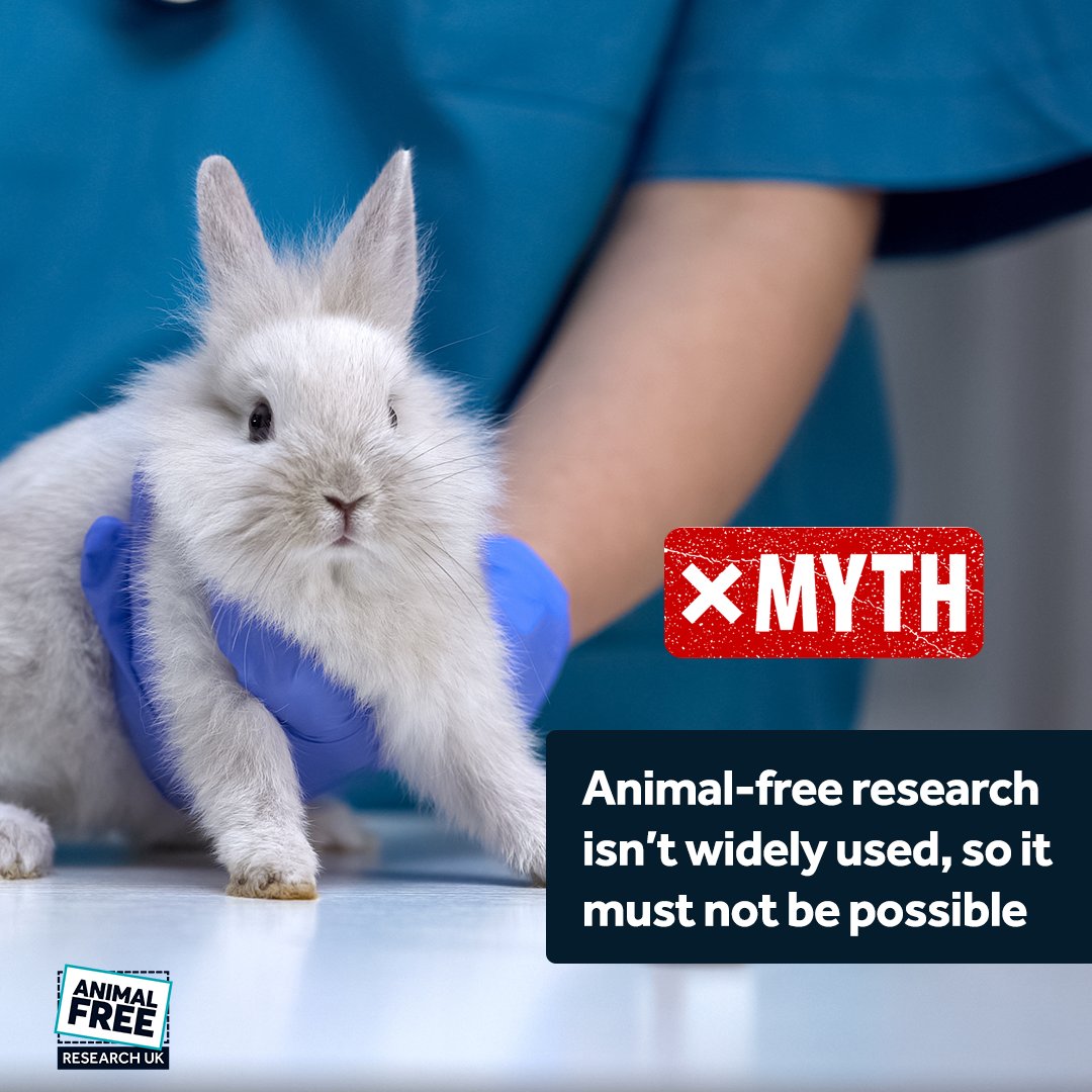 AFR_UK's tweet image. Why are millions of animals still used in UK labs when we have powerful animal-free tech like AI, organ-on-a-chip & 3D cell models?
🐾 Outdated 'gold standards'
💰 High upfront costs
📋 Confusing rules
It’s time to break the cycle. #MythBustingMonday #KinderScience
