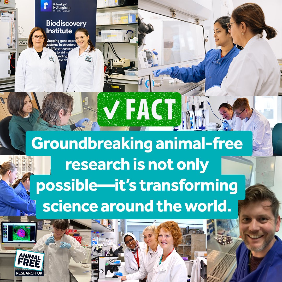 AFR_UK's tweet image. Why are millions of animals still used in UK labs when we have powerful animal-free tech like AI, organ-on-a-chip & 3D cell models?
🐾 Outdated 'gold standards'
💰 High upfront costs
📋 Confusing rules
It’s time to break the cycle. #MythBustingMonday #KinderScience