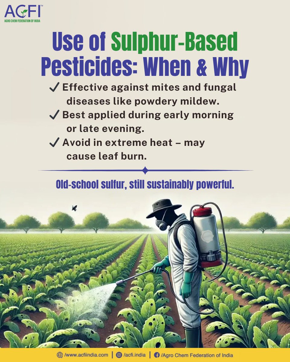 Sulphur-based pesticides are a time-tested, sustainable solution for controlling mites and mildew—just apply during cooler hours to avoid leaf burn.
#SustainableFarming #SmartFarming #CropProtection #SulphurPower #AgriTips #FarmersFirst