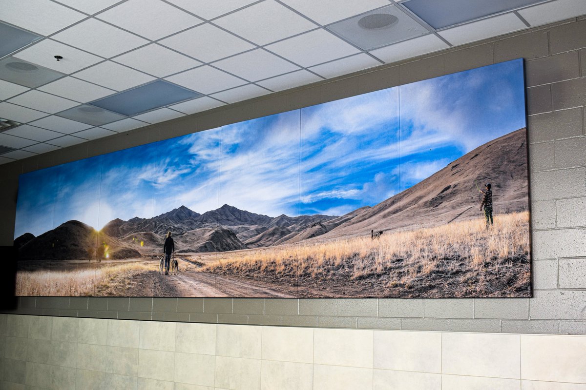 Audimute tweet media