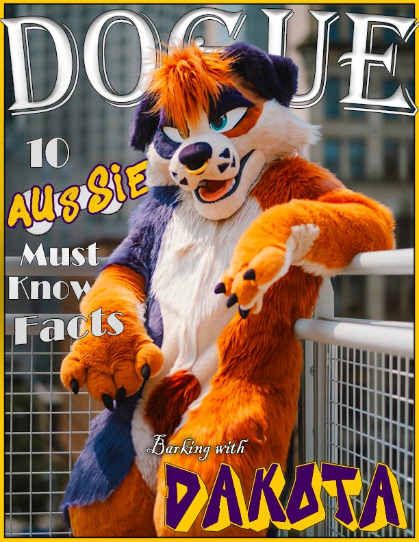 AussieFluffButt's tweet image. ✨️Coming to retail stores near you! Grab the latest addition of DOGUE featuring a pretty mutt ✨️
Stunning photography done by @luke_spots an gorgeous graphic design done by @Cement_doggy