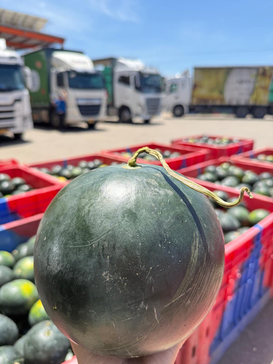 📷 A new week is here!
Wishing us all a week full of meaningful impact, shared purpose, and uplifting moments. 📷