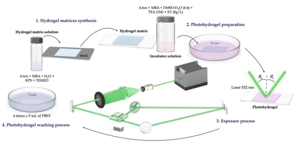 Stability analysis of symmetric holographic transmission gratings stored in photohydrogels hdl.handle.net/10045/155542
