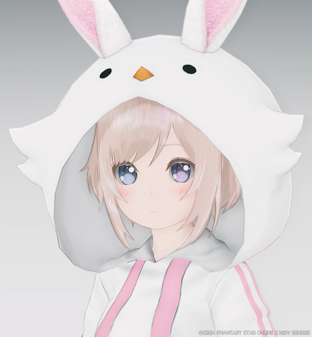 #PSO2NGS_SS
お試し
流行りを取り入れてみました(*‘ω‘ *)