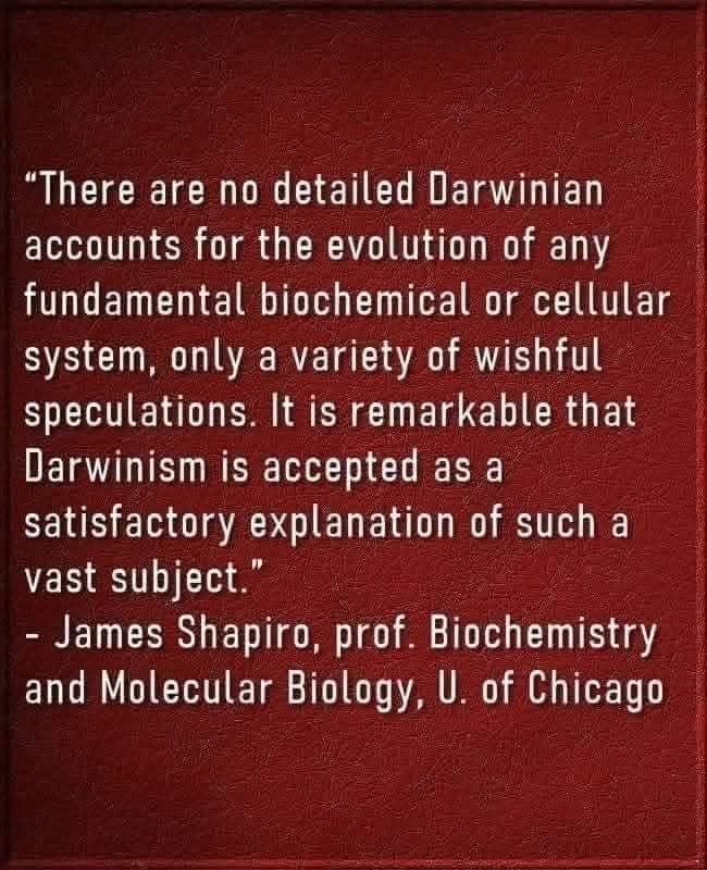 IV_Musketeer's tweet photo. #EvolutionHoax https://t.co/0VdJInWH3f