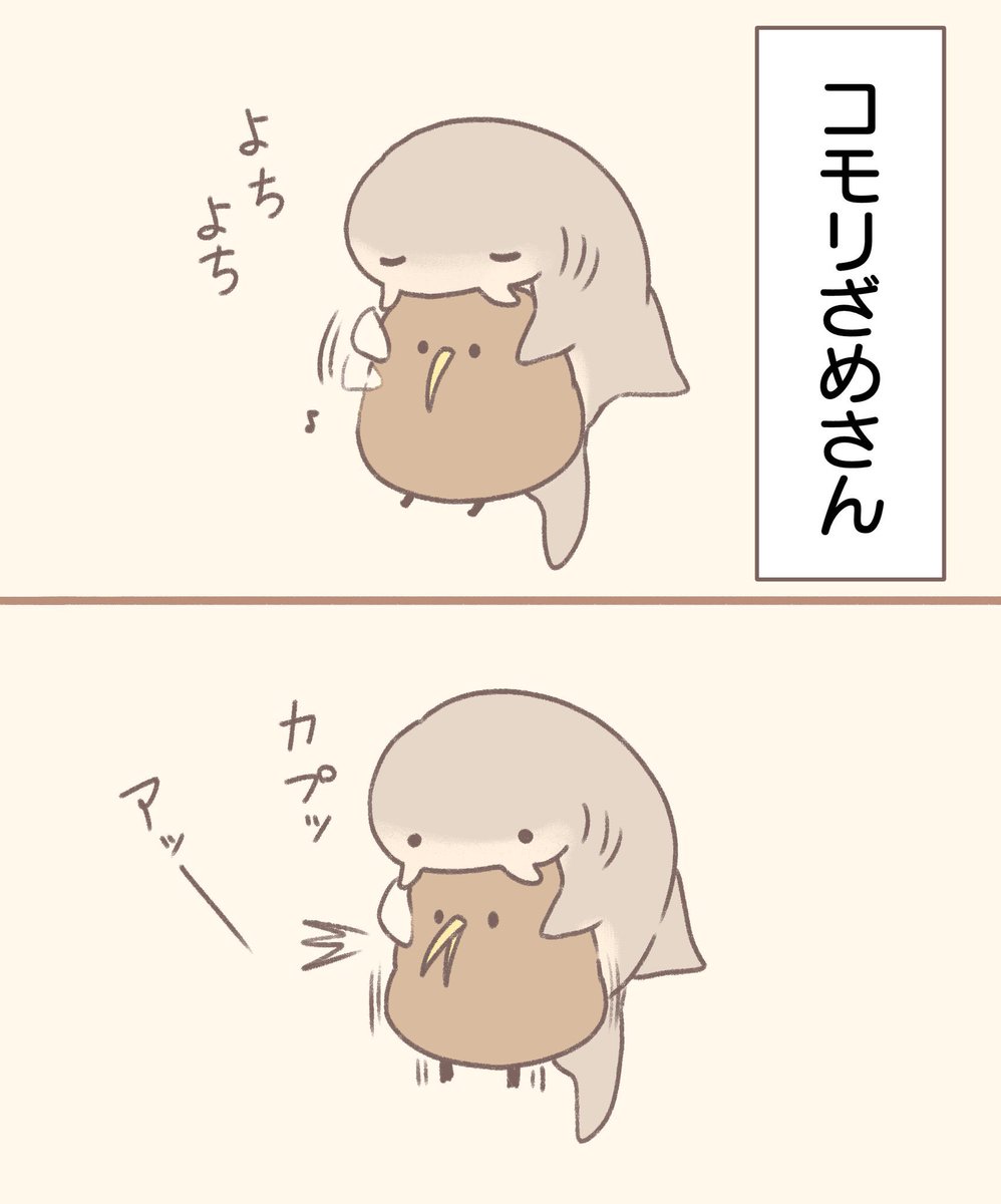 前向キウイとコモリざめさん 