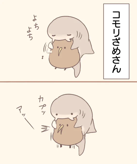 前向キウイとコモリざめさん 