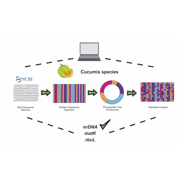 In silico phylogenetic analysis reveals nuclear ribosomal DNA as the most effective marker for DNA barcoding of Cucumis L. species - doi.org/10.14719/pst.6…