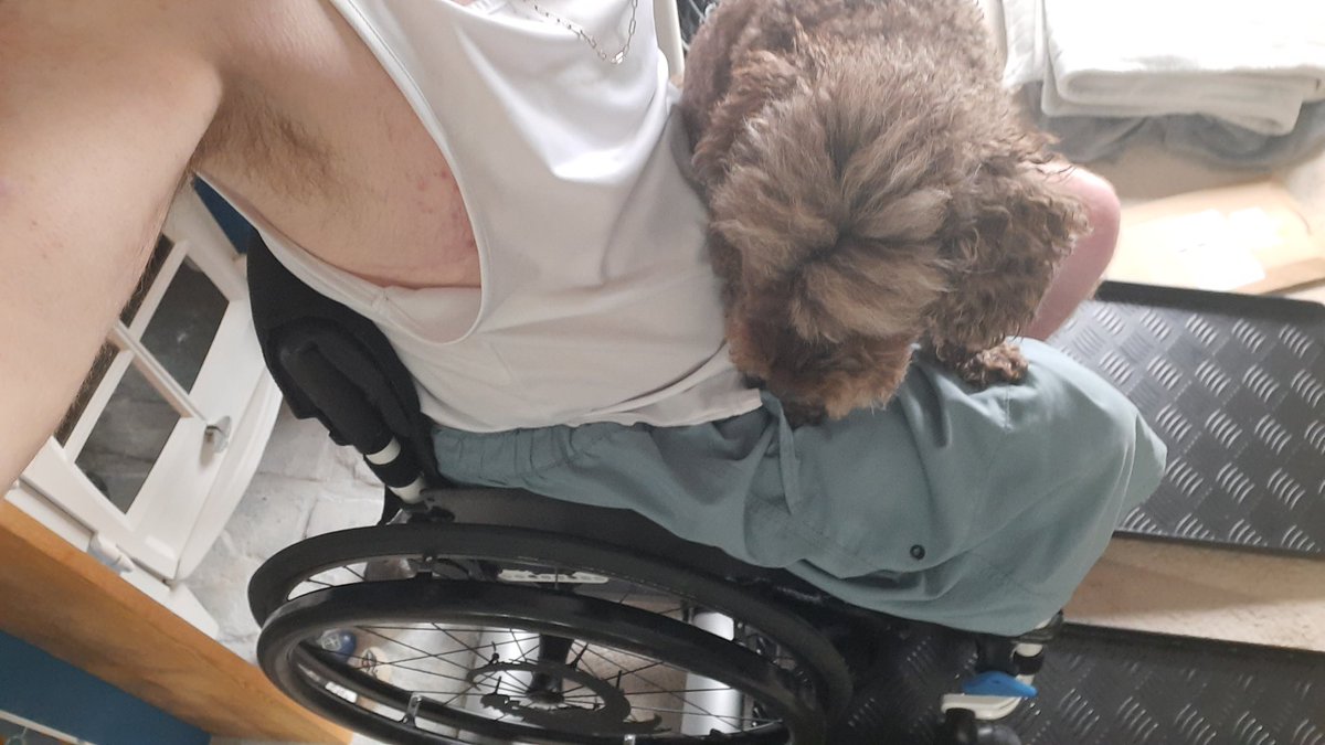 sam (@samthescotsman) on Twitter photo I have company on my treadmill. She literally climbed me. <a href="/SpecialEffect/">SpecialEffect</a> does she get any credit for taking part in my 10k? I have company on my treadmill. She literally climbed me. <a href="/SpecialEffect/">SpecialEffect</a> does she get any credit for taking part in my 10k?