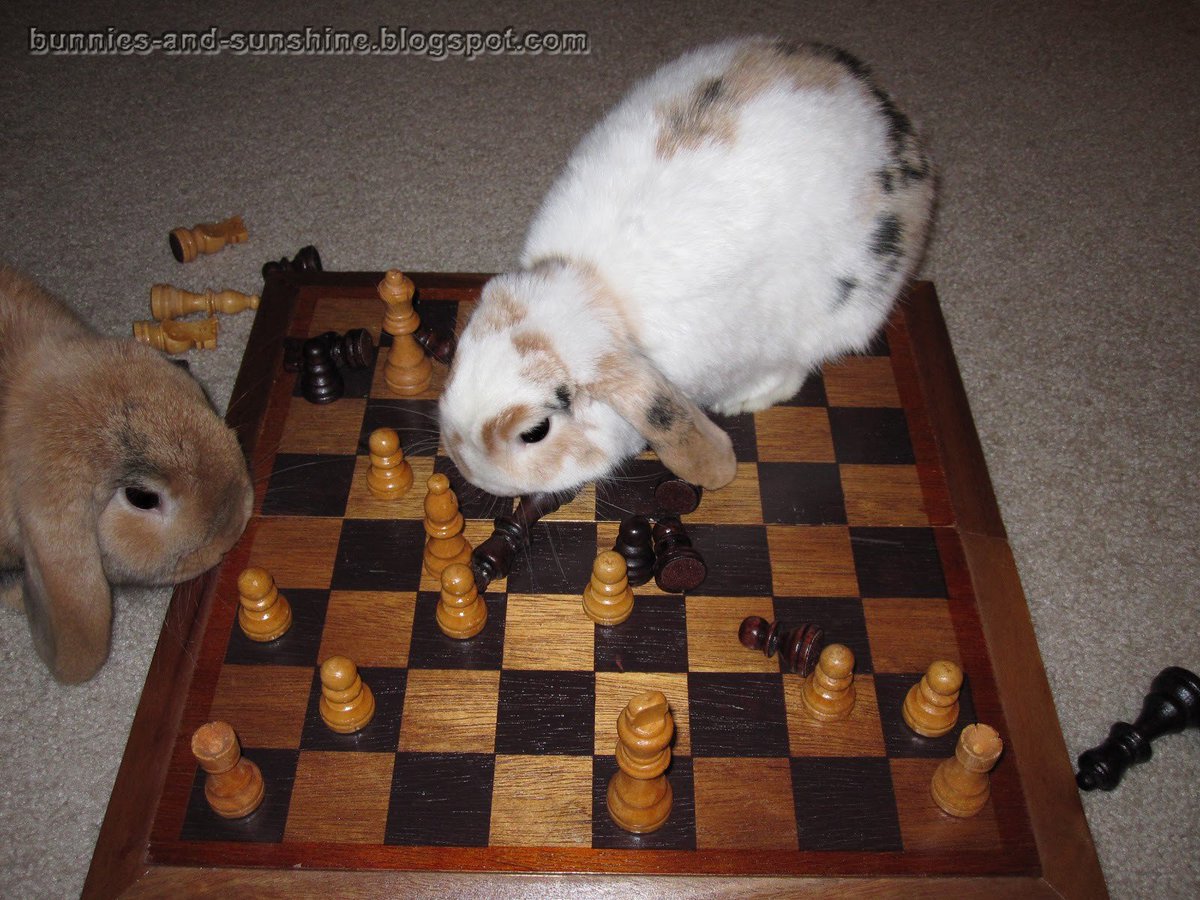 this is how i play chess (i'm a grandmaster)