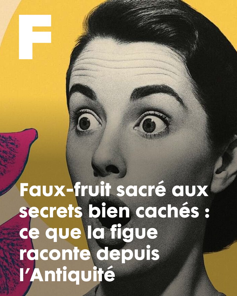 Faux-fruit sacré aux secrets bien cachés : ce que la figue raconte depuis l’Antiquité
➡️ l.futura-sciences.com/JFd