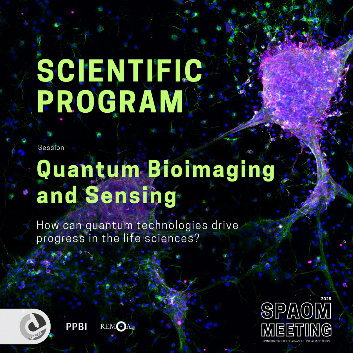 🚨 New session at #SPAOM2025 🇵🇹:
Quantum Bioimaging and Sensing ✨🔬
Explore how quantum tech is transforming imaging &amp; biosensing — from ultra-sensitive detection to quantum-enhanced resolution.
📍 Braga, Portugal
#QuantumSensing #Microscopy #Biophotonics