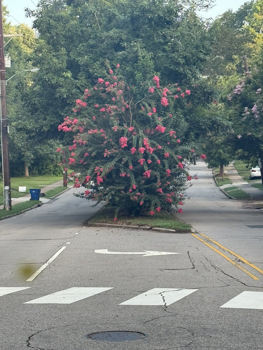 Rhett Fussell tweet media